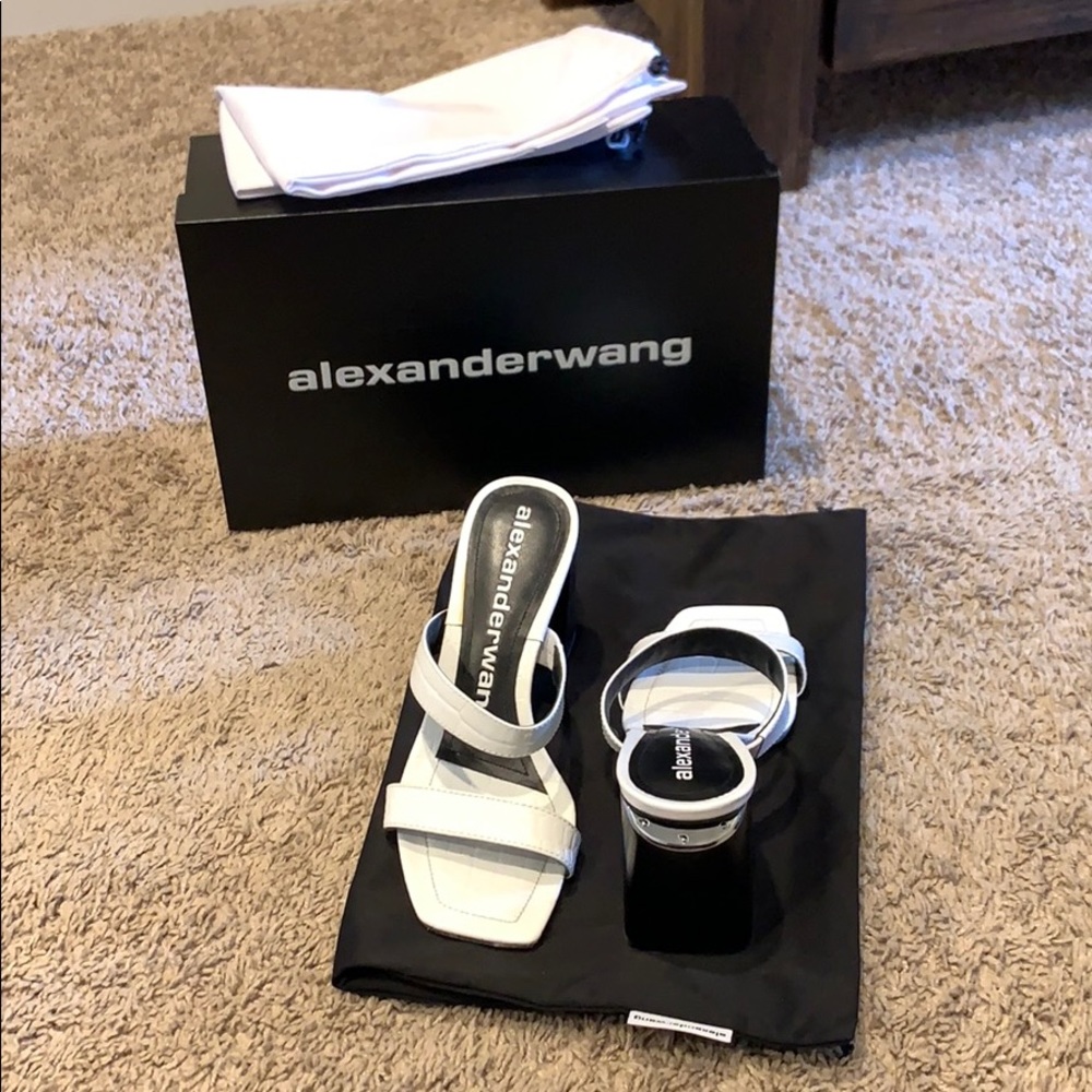 Alexander Wang Hayden Croc Sandals